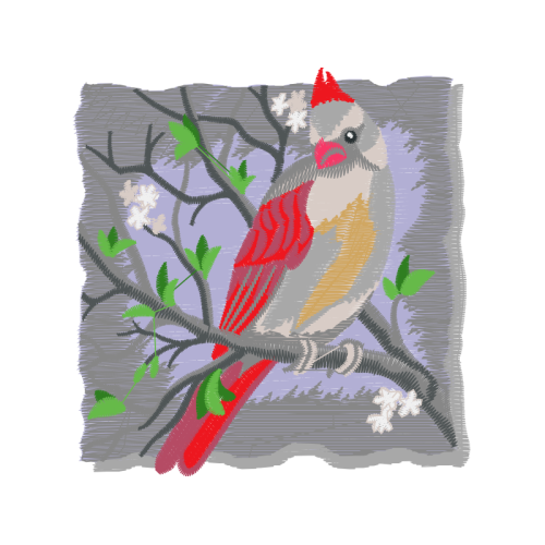 Northern Cardinal Animals Northern Cardinal Animals