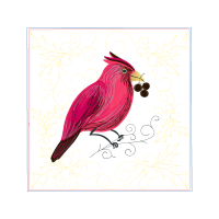 Northern Cardinal Animals Northern Cardinal Animals