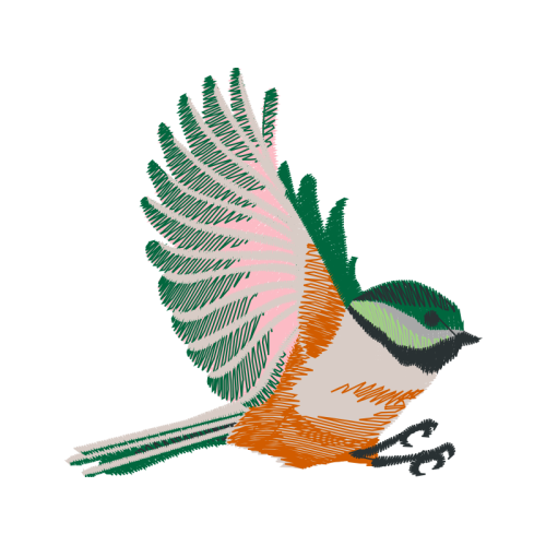 Northern Harrier Animals Northern Harrier Animals