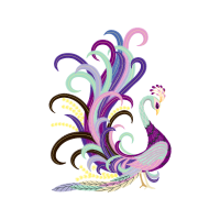 Octopus Animals Octopus Animals