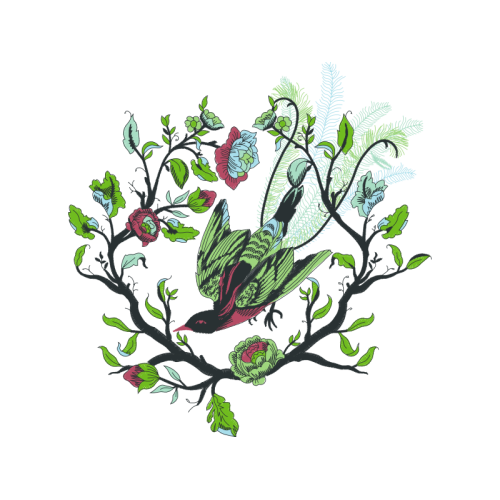 Oesd Animals Oesd Animals