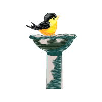 Old World Flycatchers Animals Old World Flycatchers Animals