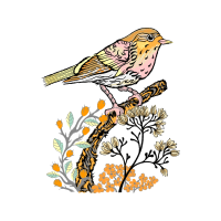 Old World Flycatchers Animals Old World Flycatchers Animals