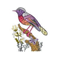 Old World Flycatchers Animals Old World Flycatchers Animals