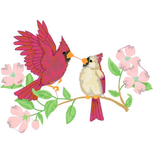 Old World Flycatchers Animals Old World Flycatchers Animals