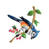 Old World Flycatchers Animals Old World Flycatchers Animals