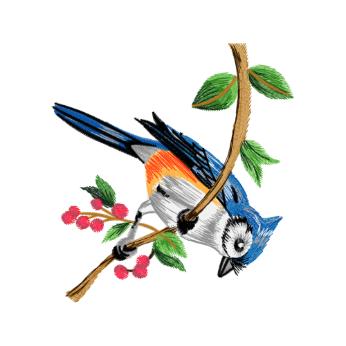 Old World Flycatchers Animals Old World Flycatchers Animals