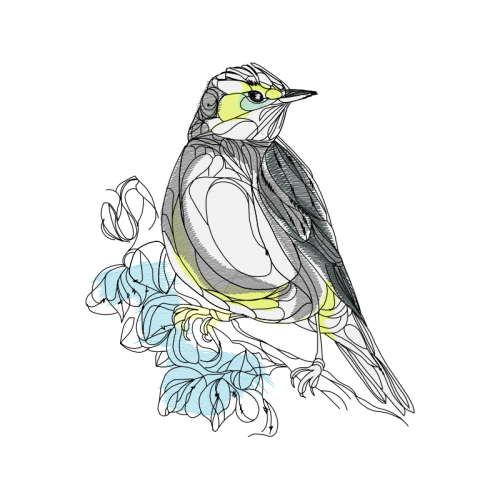 Old World Flycatchers Animals Old World Flycatchers Animals