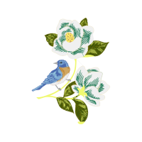 Old World Flycatchers Animals Old World Flycatchers Animals