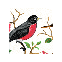 Old World Flycatchers Animals Old World Flycatchers Animals