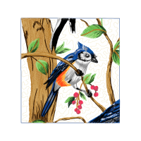 Old World Flycatchers Animals Old World Flycatchers Animals