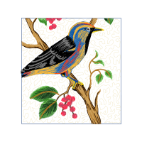 Old World Orioles Animals Old World Orioles Animals