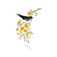 Old World Sparrows Animals Old World Sparrows Animals