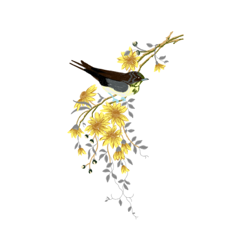 Old World Sparrows Animals Old World Sparrows Animals