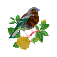 Old World Sparrows Animals Old World Sparrows Animals