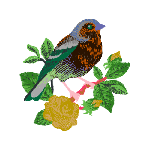 Old World Sparrows Animals Old World Sparrows Animals