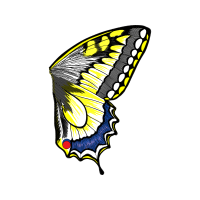 Old World Swallowtail Animals Old World Swallowtail Animals