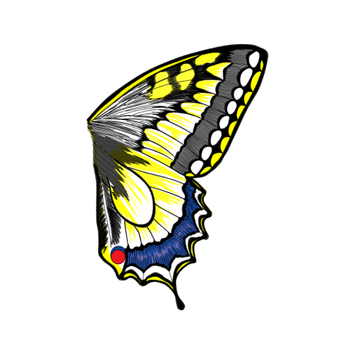 Old World Swallowtail Animals Old World Swallowtail Animals