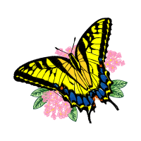 Old World Swallowtail Animals