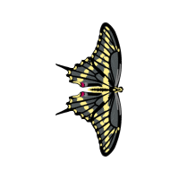 Old World Swallowtail Animals