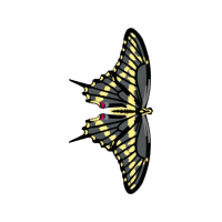 Old World Swallowtail Animals