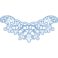 Old World Swallowtail Animals Old World Swallowtail Animals