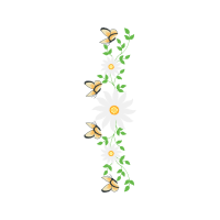 Old World Swallowtail Animals Old World Swallowtail Animals