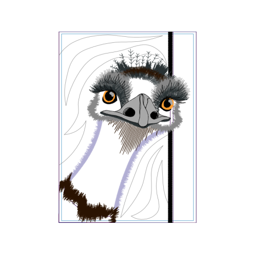 Ostriches Animals Ostriches Animals