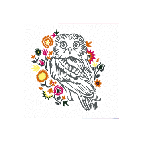 Owl Animals Owl Animals