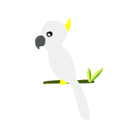 Owl Animals Owl Animals