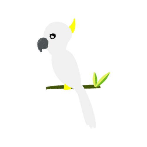 Owl Animals Owl Animals