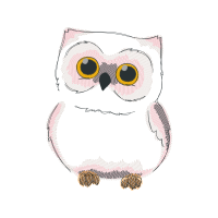 Owl Animals Owl Animals
