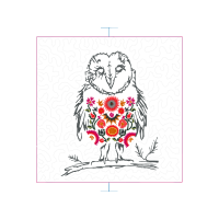 Owl Animals Owl Animals