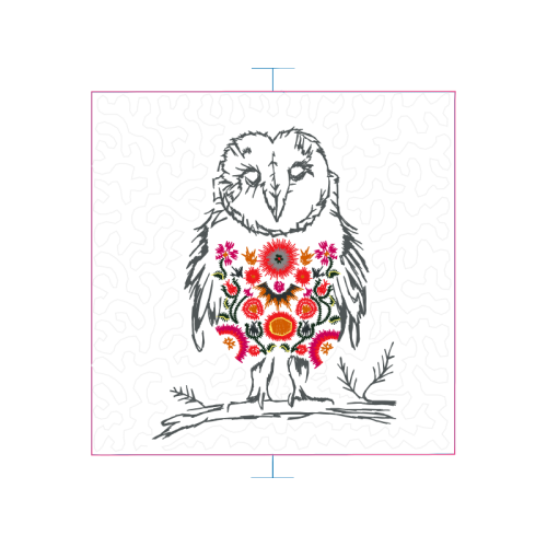 Owl Animals Owl Animals