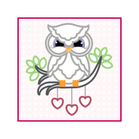 Owl Animals Owl Animals