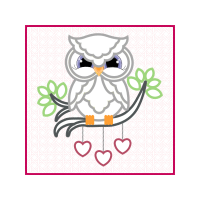 Owl Animals Owl Animals