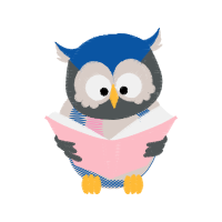 Owl Animals Owl Animals