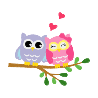 Owl Animals