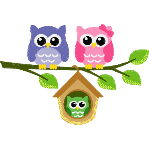 Owl Animals Owl Animals