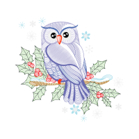 Owl Animals Owl Animals