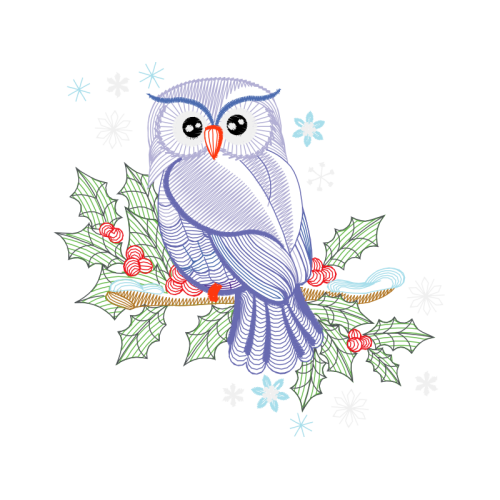 Owl Animals Owl Animals