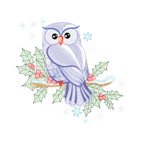 Owl Animals Owl Animals