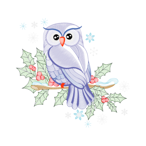 Owl Animals Owl Animals