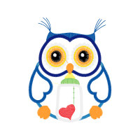 Owl Animals Owl Animals