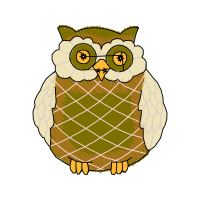 Owl Animals