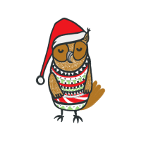 Owl Animals Owl Animals