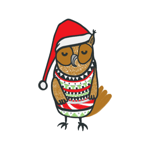 Owl Animals Owl Animals