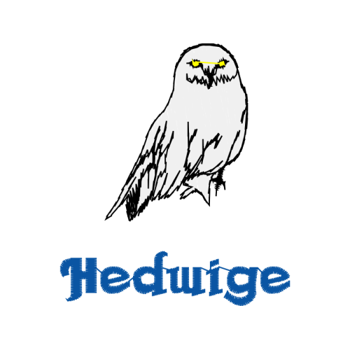 Owl Animals Owl Animals