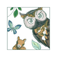 Owl Animals Owl Animals