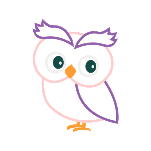 Owl Animals Owl Animals